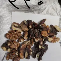 مغز گردو امسالی پر چرب تویسرکان