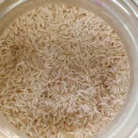 صدری دم سیاه