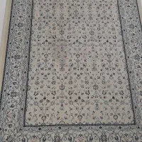 دوتخته فرش نه متری|فرش|رشت, تازه آباد|دیوار