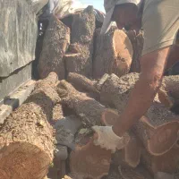 خریدار انواع چوب در استان فارس وکرمان