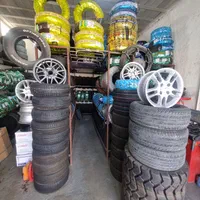 لاستیک سامانه با برگه سبز