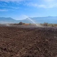 اجاره زمین کشاورزی|اجارهٔ دفتر صنعتی، کشاورزی، تجاری|شیروان (لرستان), |دیوار