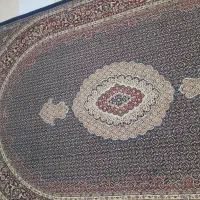 قالی۵۰۰شانه|فرش|مریوان, |دیوار