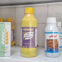 ضد زردی کشت سبز