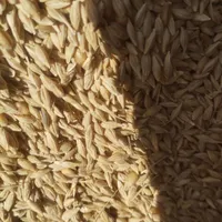 خرید و فروش گندم جو و غیره..|اسکان اضطراری|الیگودرز, |دیوار