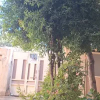 خانه-ویلایی-200-متری-میدان-امام