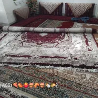 فرش ماشینی|فرش|زاهدان, |دیوار