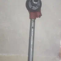 رزوه زن(دیس زن)