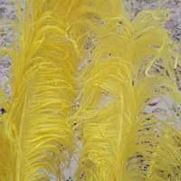 حیوان علامت (نقره وطلا کوب ساده شال کتیبه وپر)|کلکسیون اشیاء عتیقه|رشت, دیلمان|دیوار