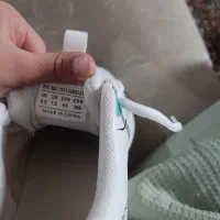 کفش های راحتی|کیف، کفش، کمربند|بانه, |دیوار