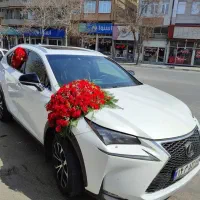 ماشین عروس.  تزیین گل ارایی درب محل شما|خدمات پذیرایی، مراسم|تهران, تهرانپارس غربی|دیوار