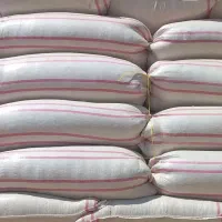 فروش کاه گندم دیم لرستان