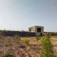 باغ معصوم آباد تقاب/ نقد و قسط