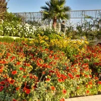 وام فوری بانک مهر