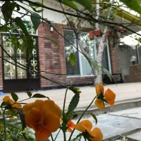 اجاره موقت سوییت سویئت و باغ ویلا|اجارهٔ کوتاهمدت آپارتمان و سوئیت|وحیدیه, |دیوار