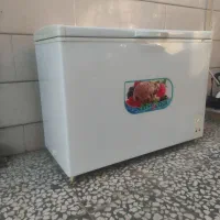 یخچال صندوقی