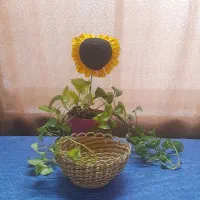 صنایع دستی|صنایع دستی و سایر لوازم تزئینی|کومله, |دیوار