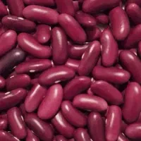 لوبیا کپسولی برداشت روز