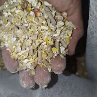 گاوگوسفندبره دان آجیلی بز|لوازم جانبی حیوانات|حمیل, |دیوار