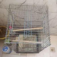 قفس بزرگ طوطی