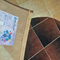 فرش|فرش|مشهد, آزادشهر|دیوار