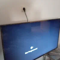 تلویزیون|تلویزیون و پروژکتور|قشم, |دیوار