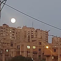 صدرا-تک-خواب-مجتمع-غدیر-همکف-سند-تک-برگ