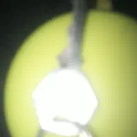 گمشده مدارک وکلید