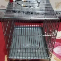 قفس پرنده|لوازم جانبی حیوانات|ایلام, |دیوار