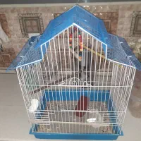 قفس و نمد کاپوت خانواده تیبا