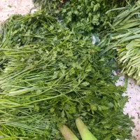 سبزی خورده شده