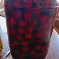 ترشی آلبالو جنگلی با سرکه سنتی محشر