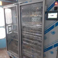 دستگاه جوجه کشی شترمرغ