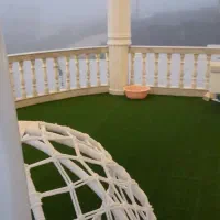 چمن مصنوعی|خدمات باغبانی و درختکاری|لاهیجان, آهندان|دیوار