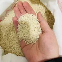 برنج فجر درجه یک شمال تازه و خوش‌پخت