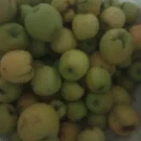سیب پا درختی