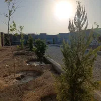 ۲۵۰ متر چهار دیواری/سند تک برگ/برق چسب ملک