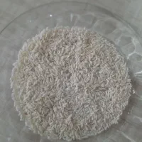 برنج دورود