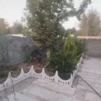 باغشهری