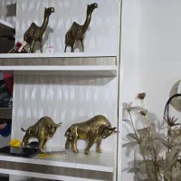 طلا حدود 10 تا 15 گرم|جواهرات|شهریار, شهریار|دیوار