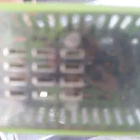 ملکه زنبور عسل