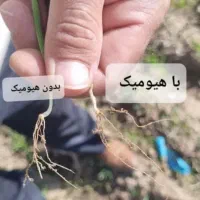 کودهای ارگانیک مادر|گل و گیاه طبیعی|سنندج, |دیوار