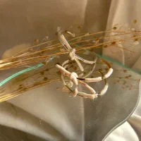 دستبند های بنگل