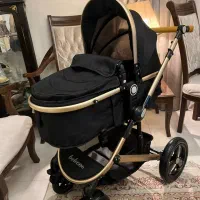 کالسکه سگ گربه یا پت وارداتی