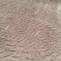 سنگ جمع کن|خدمات باغبانی و درختکاری|کرمانشاه, |دیوار