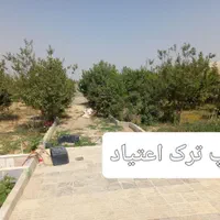 کمپ ترک اعتیاد تمایلی. تخفیف ویژه VIP