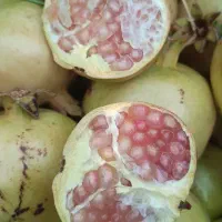 انار درجه یک 170