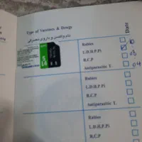 توله سگ اشپیتز ۲ ماه و نیمه|سگ|تهران, جوادیه|دیوار