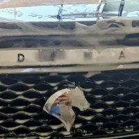 دنا معمولی تیپ ۲