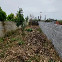 خانه روستایی قابل بازسازی در زیباکنار خشکبیجار|فروش زمین و ملک کلنگی|رشت, دیلمان|دیوار